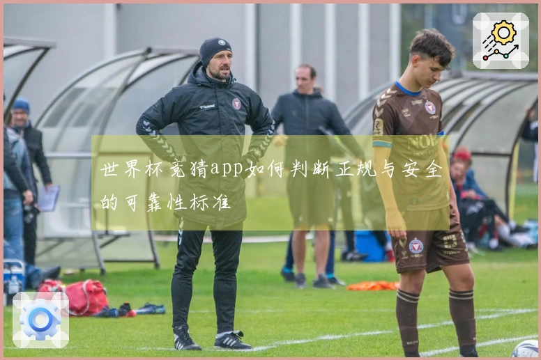世界杯竞猜app如何判断正规与安全的可靠性标准