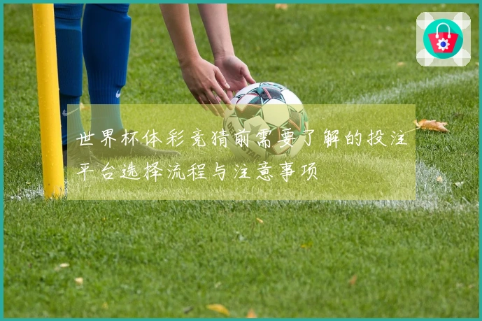 世界杯体彩竞猜前需要了解的投注平台选择流程与注意事项