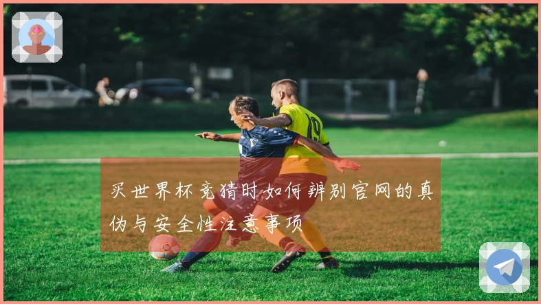 买世界杯竞猜时如何辨别官网的真伪与安全性注意事项