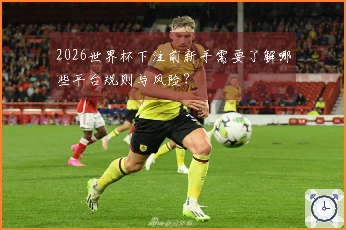 2026世界杯下注前新手需要了解哪些平台规则与风险？