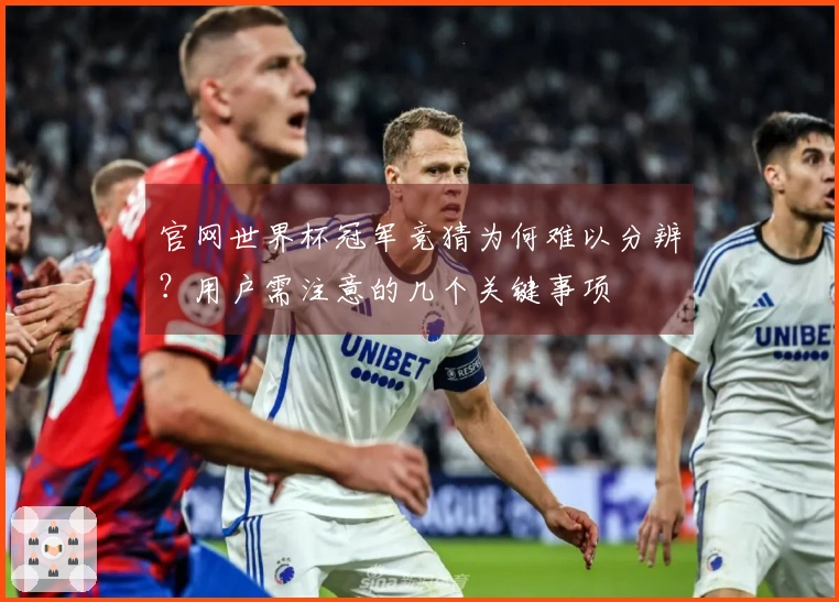 官网世界杯冠军竞猜为何难以分辨？用户需注意的几个关键事项