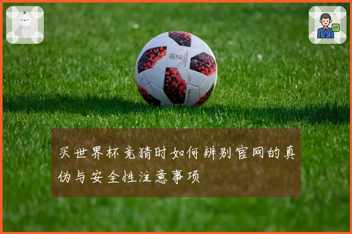 买世界杯竞猜时如何辨别官网的真伪与安全性注意事项