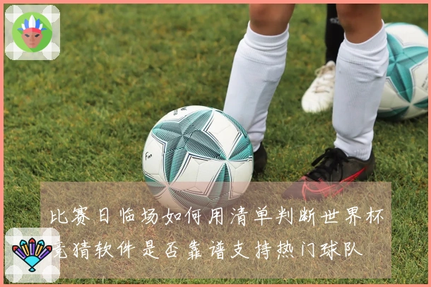 比赛日临场如何用清单判断世界杯竞猜软件是否靠谱支持热门球队