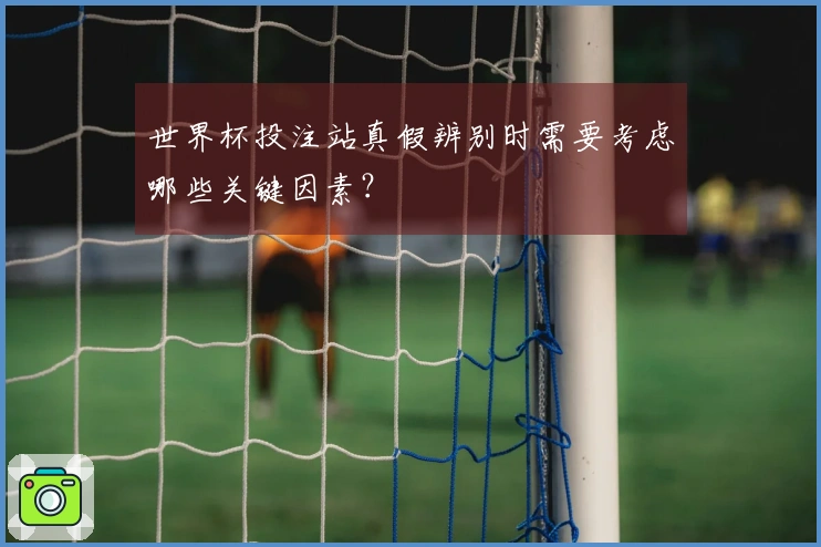 世界杯投注站真假辨别时需要考虑哪些关键因素？