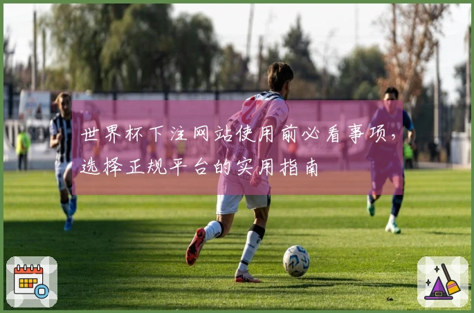 世界杯下注网站使用前必看事项，选择正规平台的实用指南